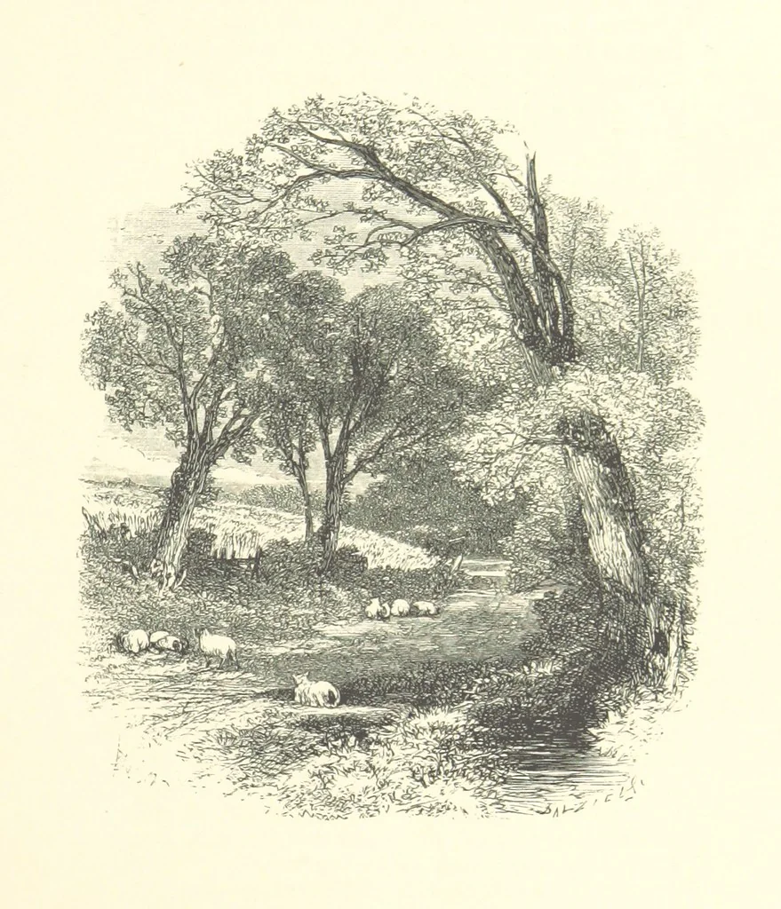 An illustration from Beauties of English landscape. Drawn by Birket Foster. Engraved by Dalziel Brothers, J. Cooper ... and others, 1874, leaf 183