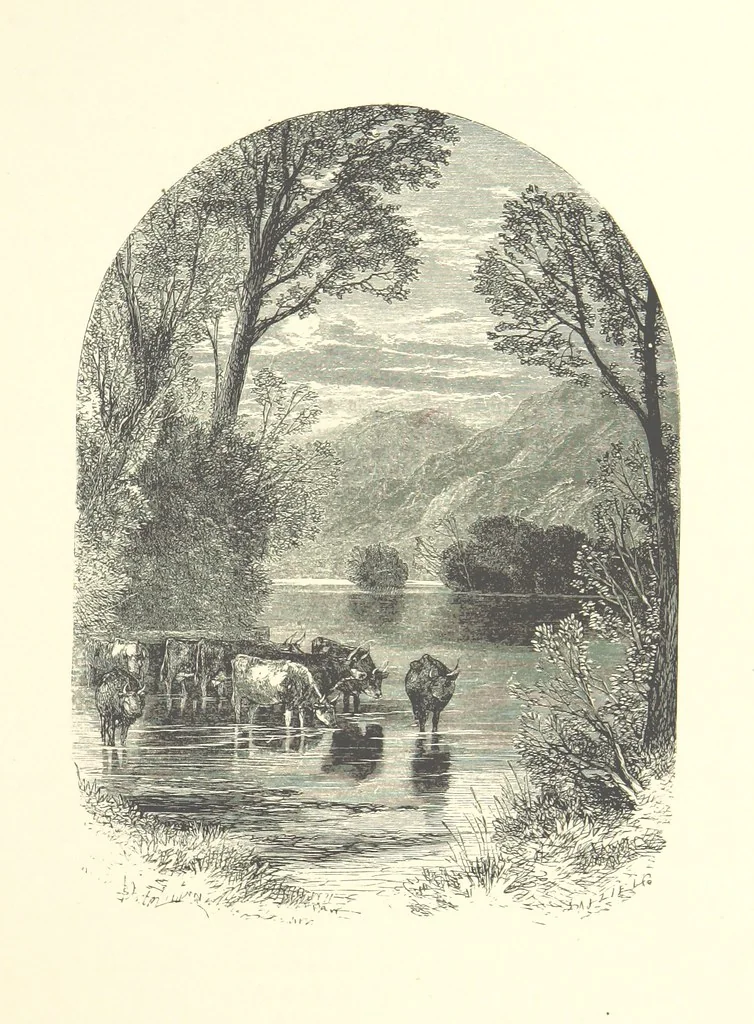 An illustration from Beauties of English landscape. Drawn by Birket Foster. Engraved by Dalziel Brothers, J. Cooper ... and others, 1874, leaf 213