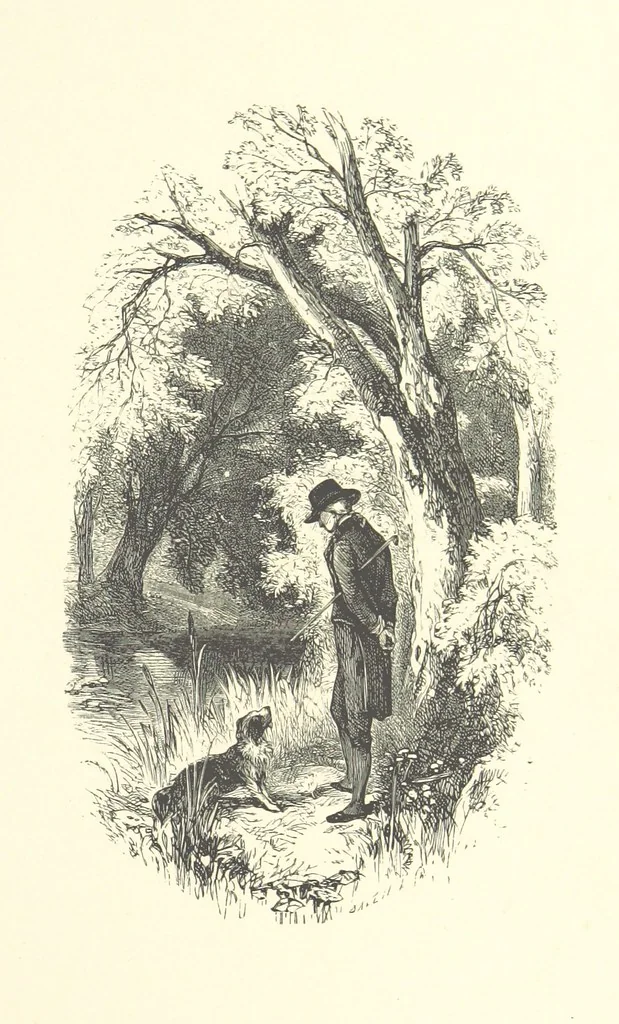 An illustration from Beauties of English landscape. Drawn by Birket Foster. Engraved by Dalziel Brothers, J. Cooper ... and others, 1874, leaf 219