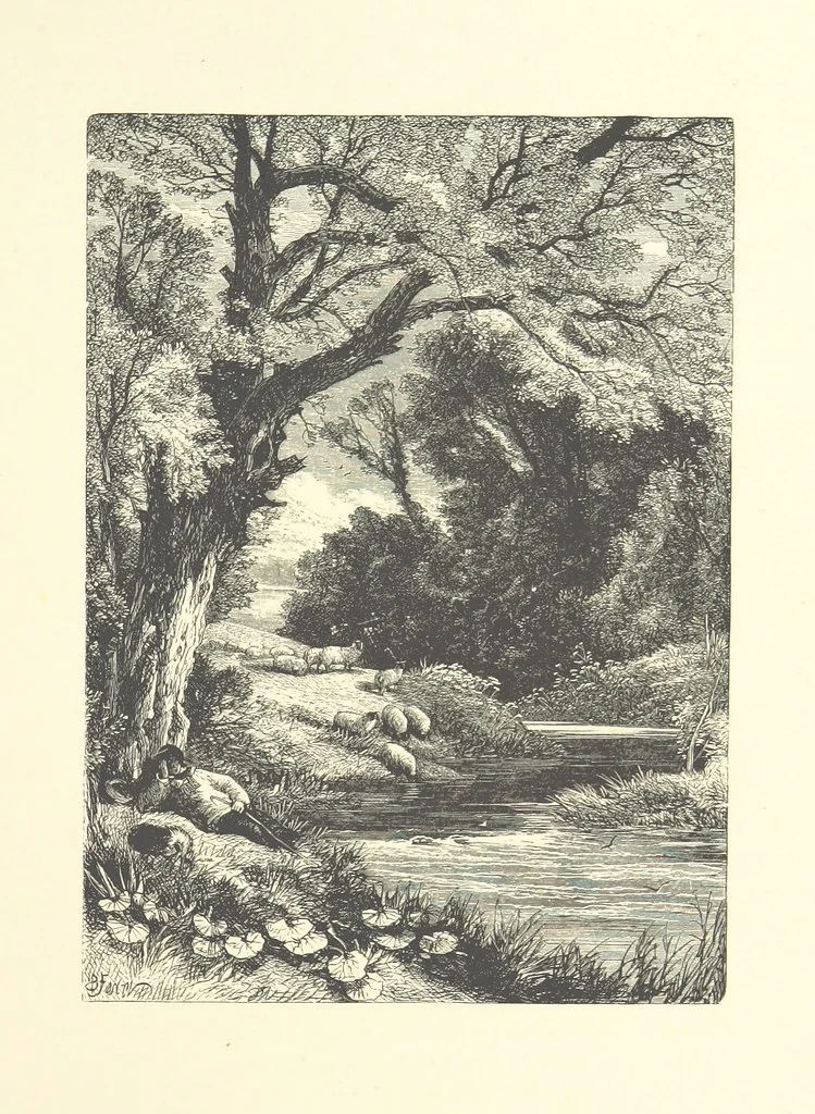 An illustration from Beauties of English landscape. Drawn by Birket Foster. Engraved by Dalziel Brothers, J. Cooper ... and others, 1874, leaf 223