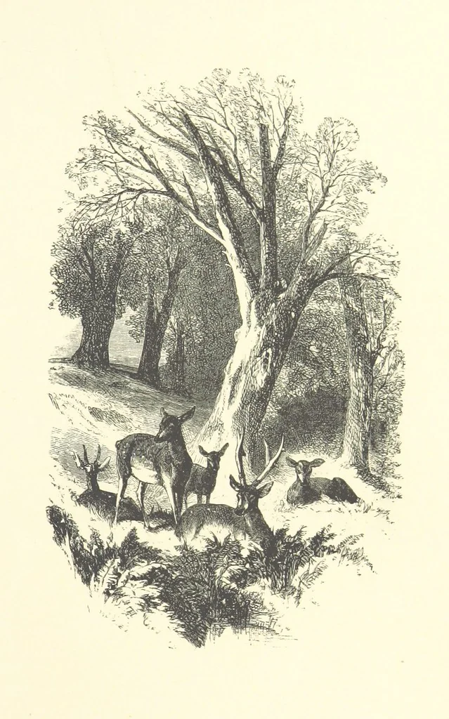 An illustration from Beauties of English landscape. Drawn by Birket Foster. Engraved by Dalziel Brothers, J. Cooper ... and others, 1874, leaf 249