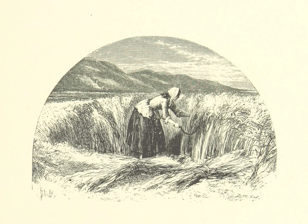 An illustration from Beauties of English landscape. Drawn by Birket Foster. Engraved by Dalziel Brothers, J. Cooper ... and others, 1874, leaf 253