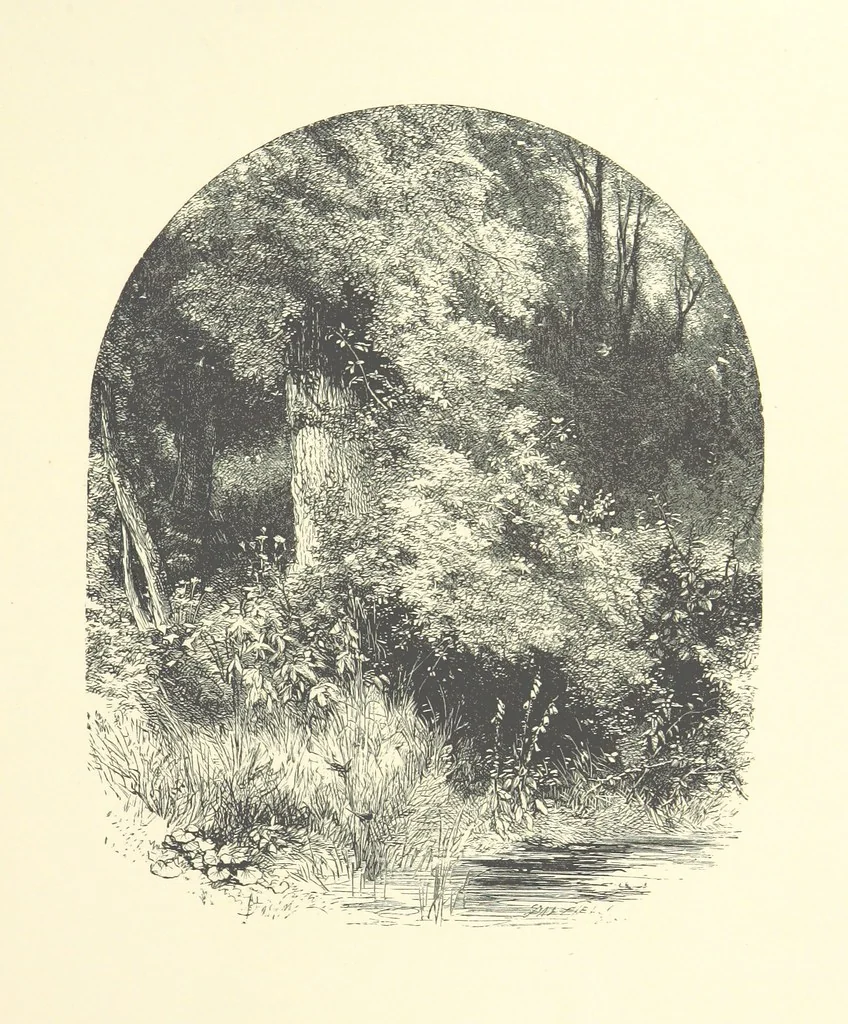 An illustration from Beauties of English landscape. Drawn by Birket Foster. Engraved by Dalziel Brothers, J. Cooper ... and others, 1874, leaf 281