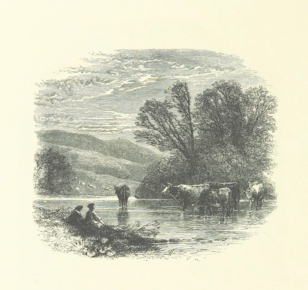An illustration from Beauties of English landscape. Drawn by Birket Foster. Engraved by Dalziel Brothers, J. Cooper ... and others, 1874, leaf 290
