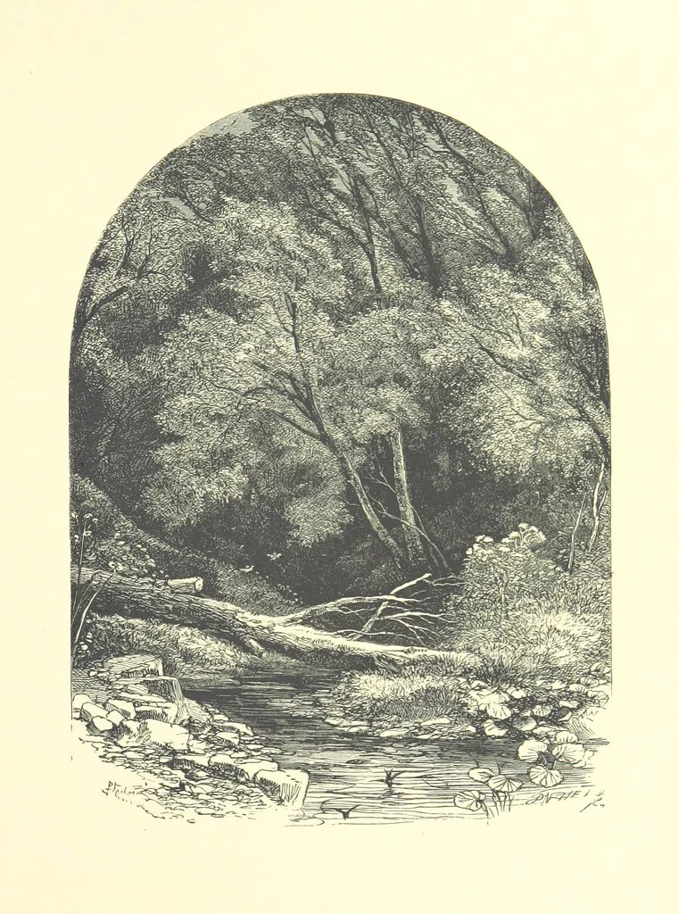 An illustration from Beauties of English landscape. Drawn by Birket Foster. Engraved by Dalziel Brothers, J. Cooper ... and others, 1874, leaf 293