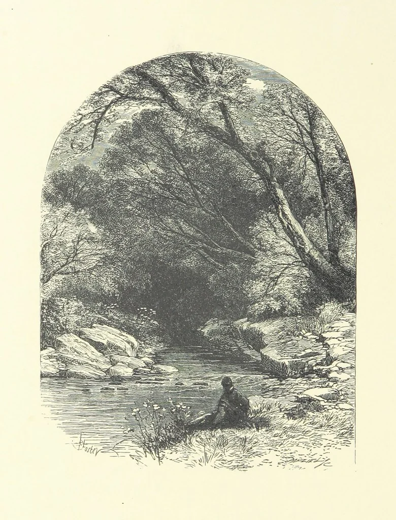 An illustration from Beauties of English landscape. Drawn by Birket Foster. Engraved by Dalziel Brothers, J. Cooper ... and others, 1874, leaf 296