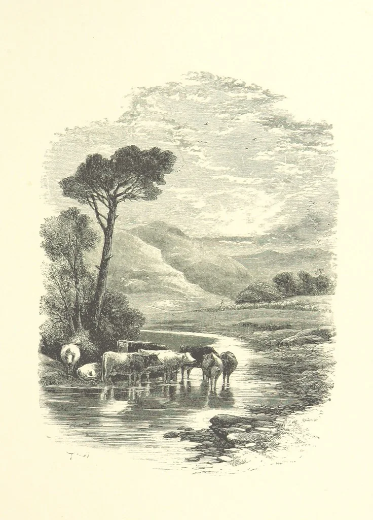 An illustration from Beauties of English landscape. Drawn by Birket Foster. Engraved by Dalziel Brothers, J. Cooper ... and others, 1874, leaf 307