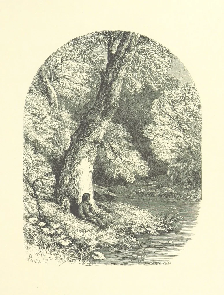 An illustration from Beauties of English landscape. Drawn by Birket Foster. Engraved by Dalziel Brothers, J. Cooper ... and others, 1874, leaf 313