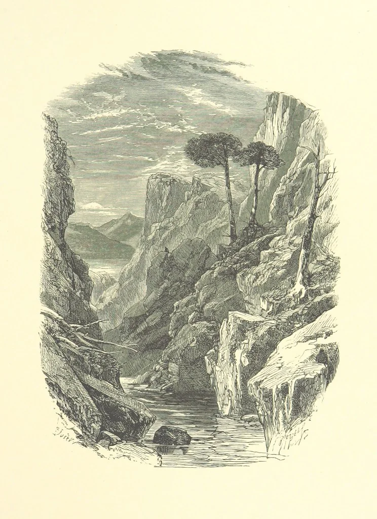 An illustration from Beauties of English landscape. Drawn by Birket Foster. Engraved by Dalziel Brothers, J. Cooper ... and others, 1874, leaf 317