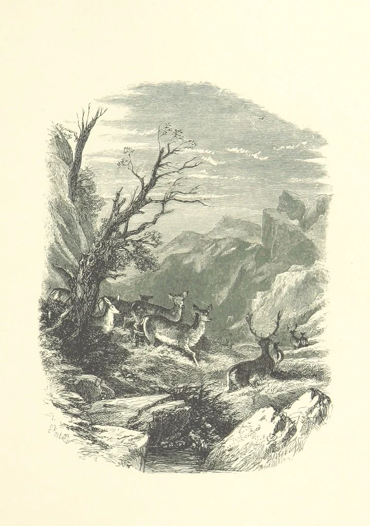 An illustration from Beauties of English landscape. Drawn by Birket Foster. Engraved by Dalziel Brothers, J. Cooper ... and others, 1874, leaf 319