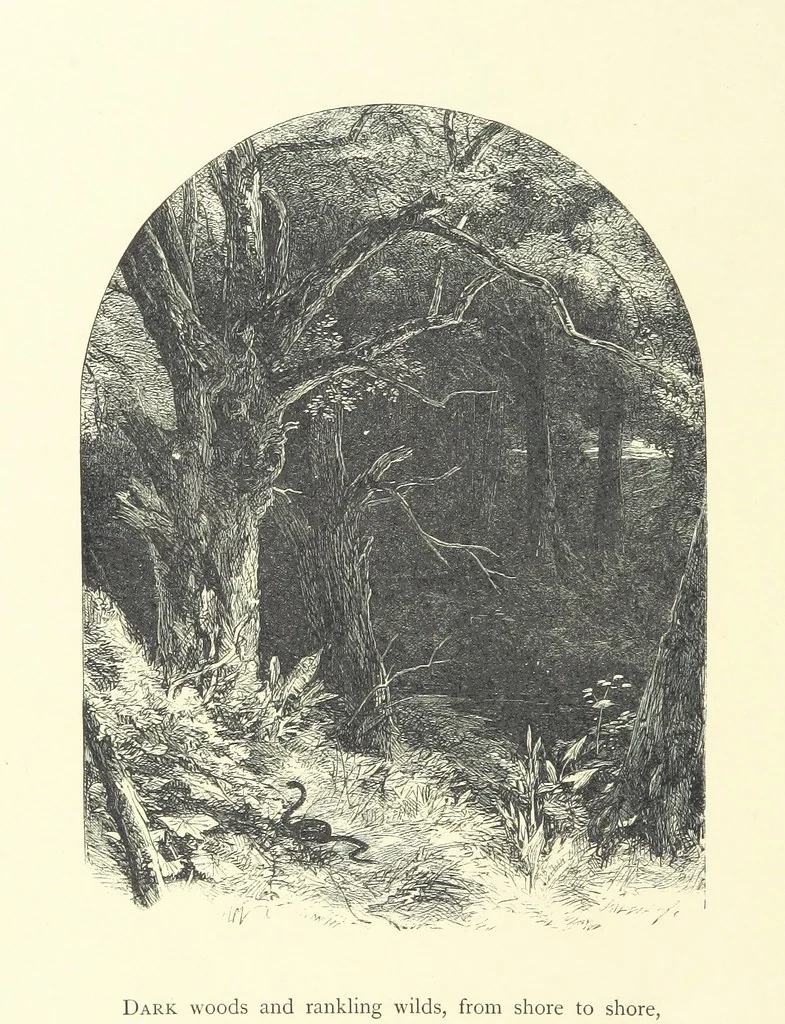 An illustration from Beauties of English landscape. Drawn by Birket Foster. Engraved by Dalziel Brothers, J. Cooper ... and others, 1874, leaf 324