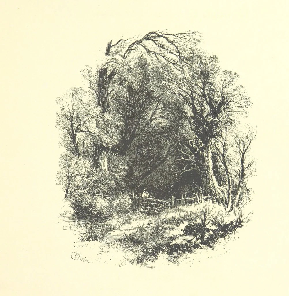 An illustration from Beauties of English landscape. Drawn by Birket Foster. Engraved by Dalziel Brothers, J. Cooper ... and others, 1874, leaf 41