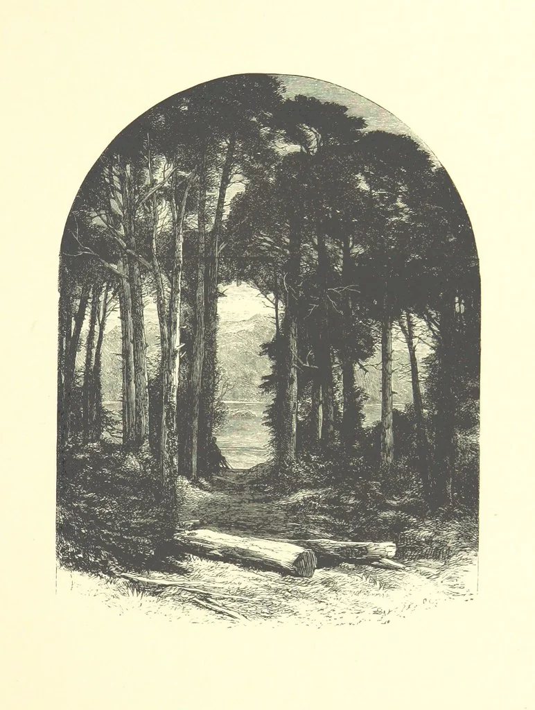 An illustration from Beauties of English landscape. Drawn by Birket Foster. Engraved by Dalziel Brothers, J. Cooper ... and others, 1874, leaf 61