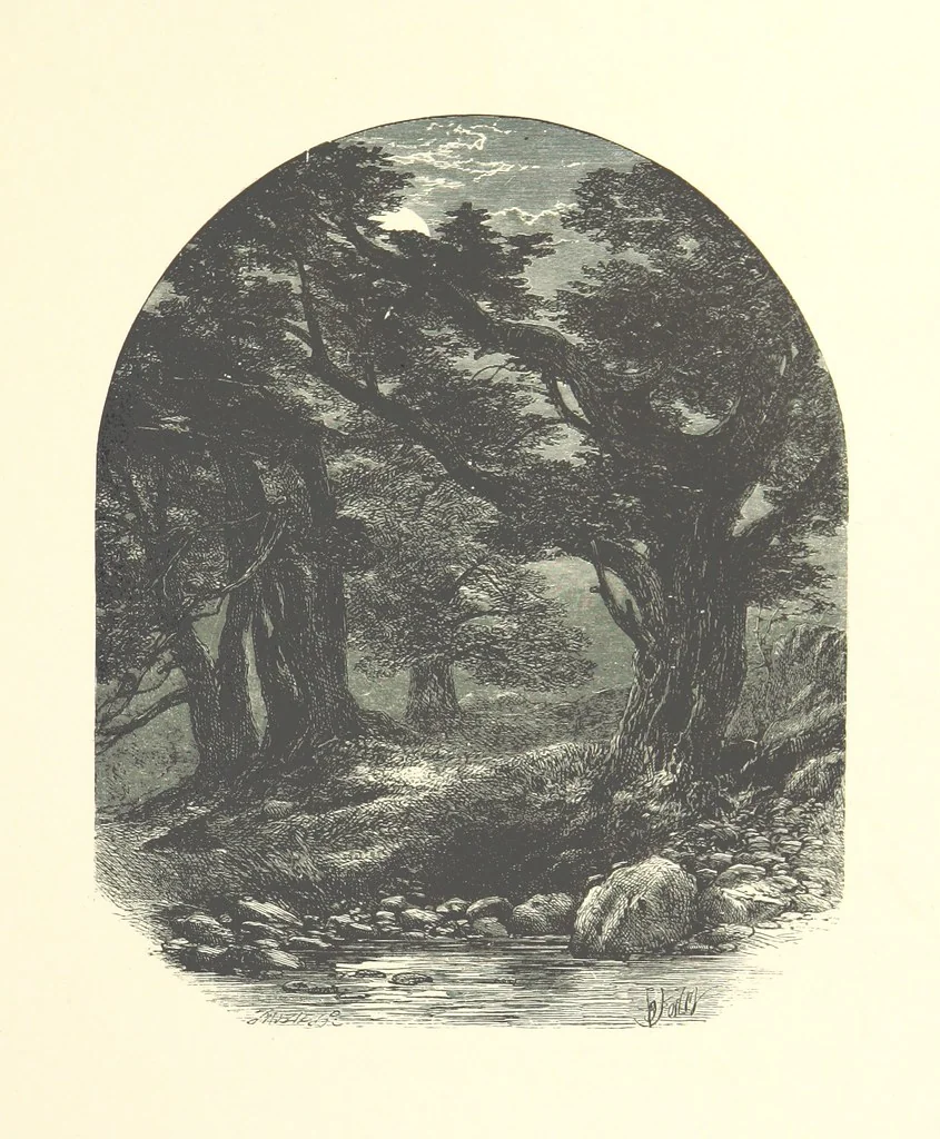 An illustration from Beauties of English landscape. Drawn by Birket Foster. Engraved by Dalziel Brothers, J. Cooper ... and others, 1874, leaf 73