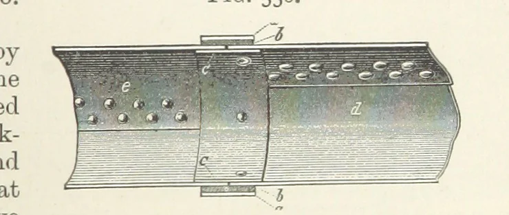 An illustration from A Text-book of Ore and Stone Mining ... With frontispiece and 716 illustrations, 1894, leaf 329