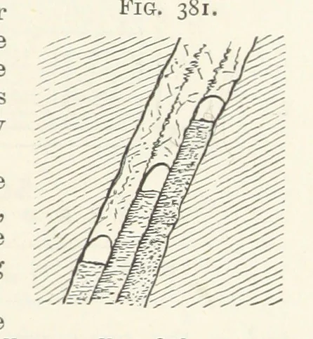 An illustration from A Text-book of Ore and Stone Mining ... With frontispiece and 716 illustrations, 1894, leaf 369