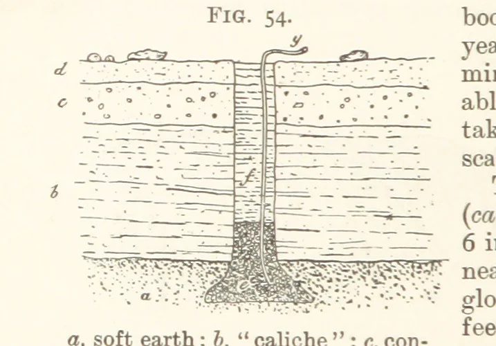 An illustration from A Text-book of Ore and Stone Mining ... With frontispiece and 716 illustrations, 1894, leaf 96