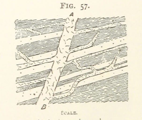An illustration from A Text-book of Ore and Stone Mining ... With frontispiece and 716 illustrations, 1894, leaf 98