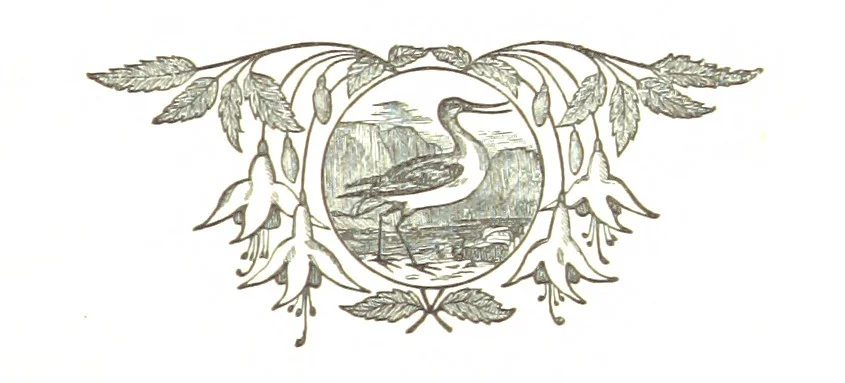 An illustration from The Folks of Fernleigh. A country chronicle, 1890, leaf 117