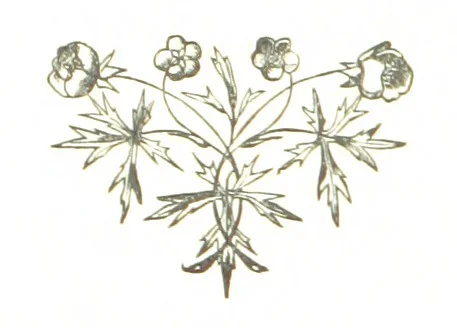 An illustration from The Folks of Fernleigh. A country chronicle, 1890, leaf 128