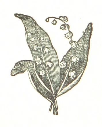 An illustration from The Folks of Fernleigh. A country chronicle, 1890, leaf 22