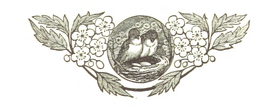 An illustration from The Folks of Fernleigh. A country chronicle, 1890, leaf 229
