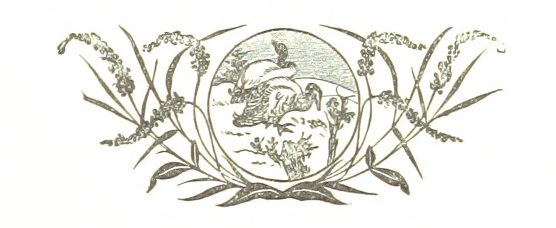 An illustration from The Folks of Fernleigh. A country chronicle, 1890, leaf 263