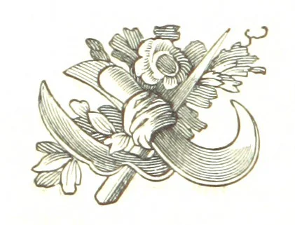 An illustration from The Folks of Fernleigh. A country chronicle, 1890, leaf 78