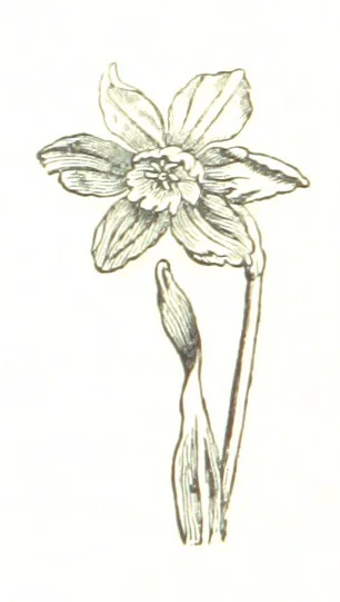 An illustration from The Folks of Fernleigh. A country chronicle, 1890, leaf 90