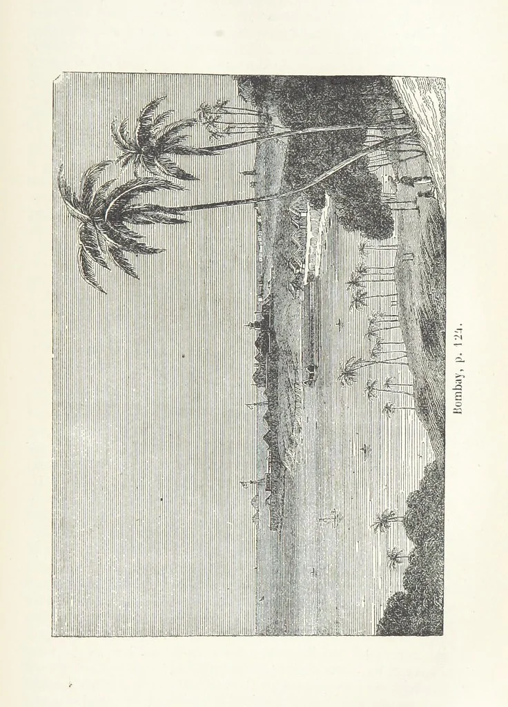 An illustration from Histoire pittoresque des villes les plus remarquables de l'Italie, la Suisse, l'Allemagne, la Russie, la Turquie, la Grèce, l'Asie, l'Afrique et l'Amérique, 1849, leaf 247