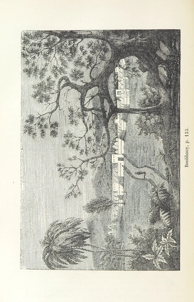 An illustration from Histoire pittoresque des villes les plus remarquables de l'Italie, la Suisse, l'Allemagne, la Russie, la Turquie, la Grèce, l'Asie, l'Afrique et l'Amérique, 1849, leaf 264