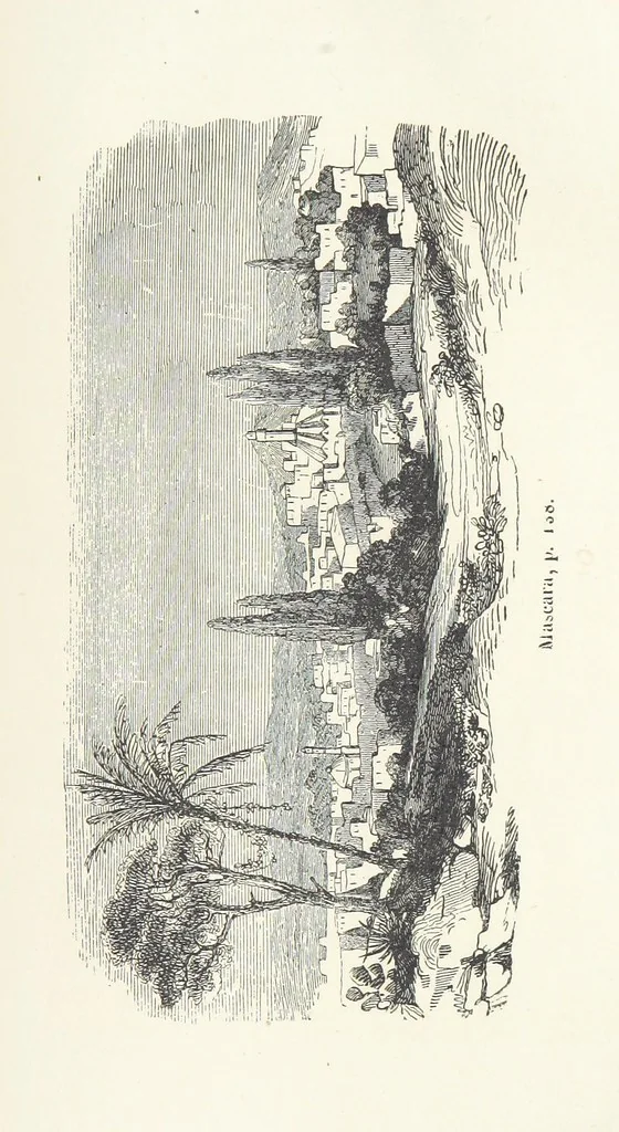 An illustration from Histoire pittoresque des villes les plus remarquables de l'Italie, la Suisse, l'Allemagne, la Russie, la Turquie, la Grèce, l'Asie, l'Afrique et l'Amérique, 1849, leaf 275