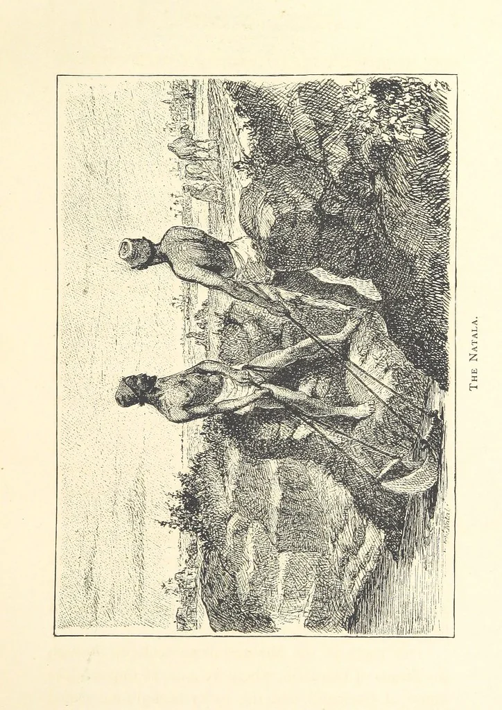 An illustration from Lecture on Egypt, etc, 1880, leaf 15