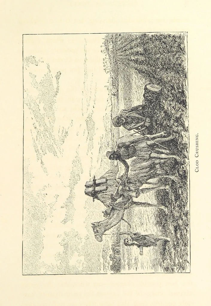 An illustration from Lecture on Egypt, etc, 1880, leaf 35