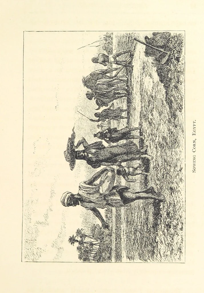 An illustration from Lecture on Egypt, etc, 1880, leaf 39