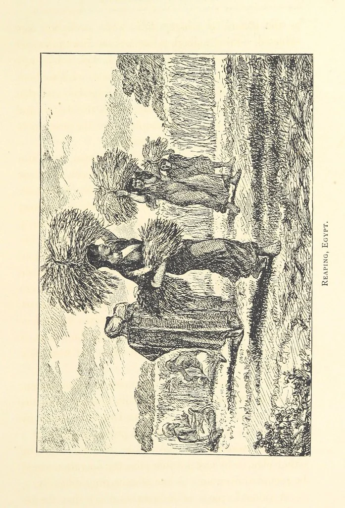 An illustration from Lecture on Egypt, etc, 1880, leaf 43