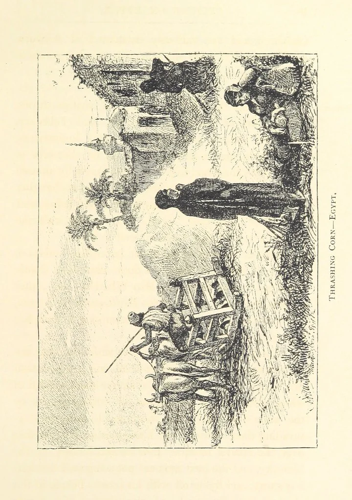 An illustration from Lecture on Egypt, etc, 1880, leaf 47