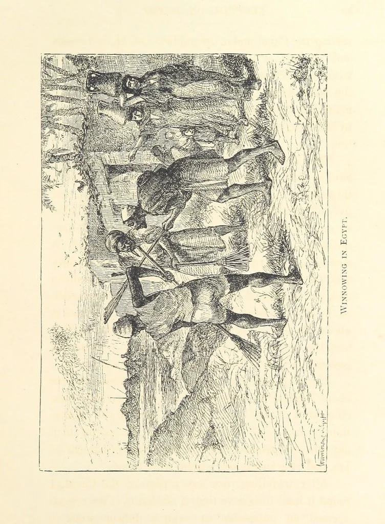 An illustration from Lecture on Egypt, etc, 1880, leaf 51