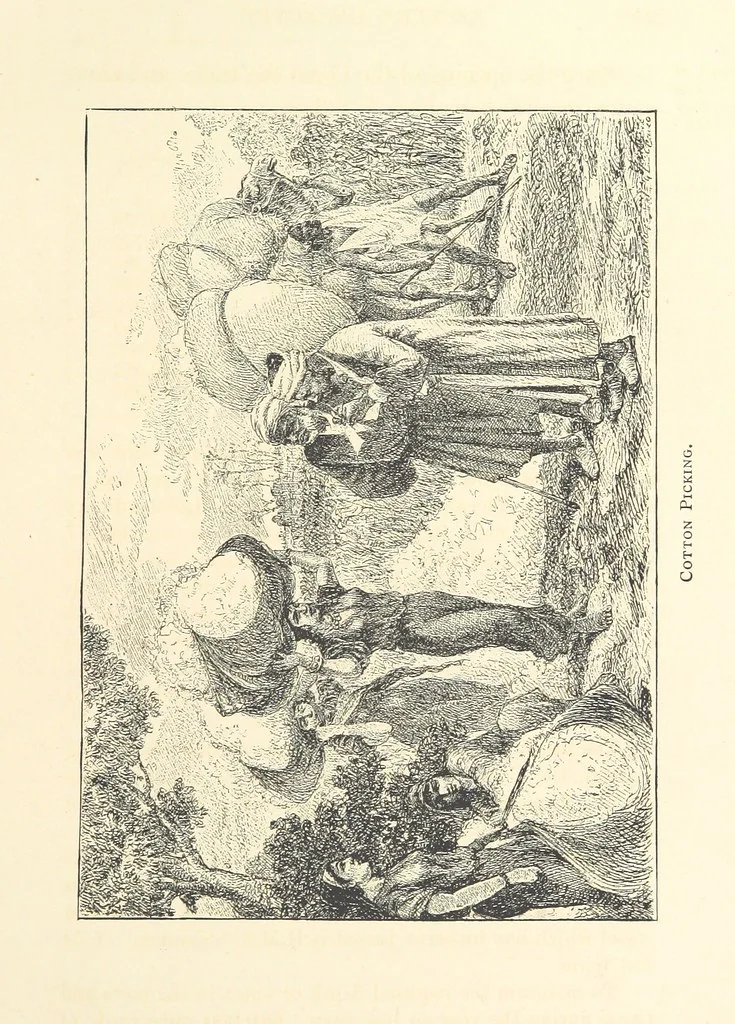 An illustration from Lecture on Egypt, etc, 1880, leaf 59
