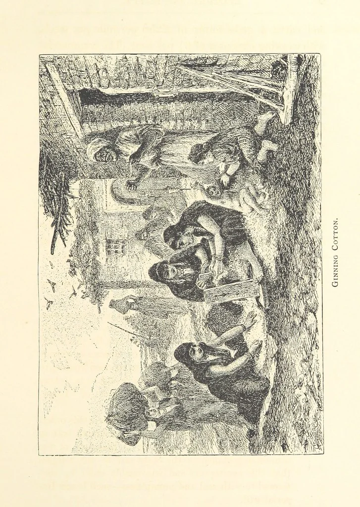 An illustration from Lecture on Egypt, etc, 1880, leaf 63