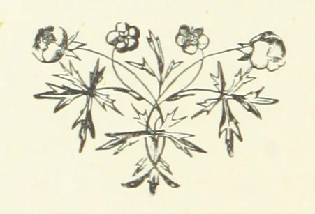An illustration from The Fox and the Goose. A tale of the Curragh of Kildare. By the author of “Spavin Hall.”, 1887, leaf 228