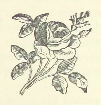 An illustration from The Fox and the Goose. A tale of the Curragh of Kildare. By the author of “Spavin Hall.”, 1887, leaf 247