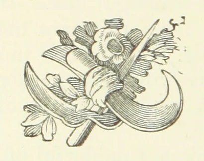 An illustration from The Fox and the Goose. A tale of the Curragh of Kildare. By the author of “Spavin Hall.”, 1887, leaf 86