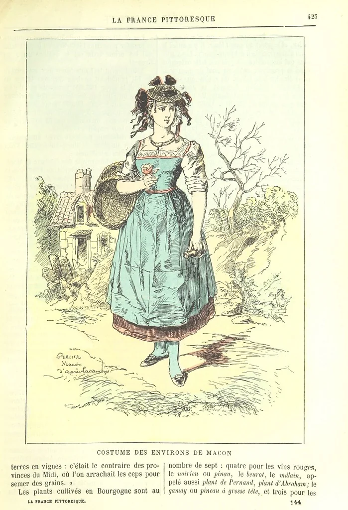 An illustration from La France pittoresque, ou description par départements de la France et de ses colonies, 1882, leaf 437