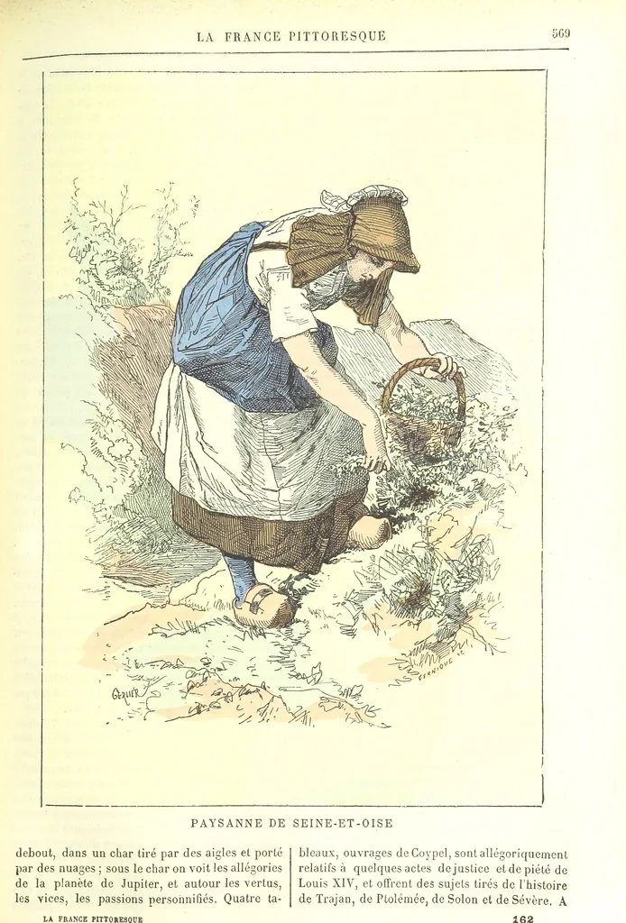 An illustration from La France pittoresque, ou description par départements de la France et de ses colonies, 1882, leaf 581