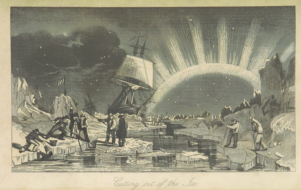 An illustration from Recent Expeditions to the Polar Regions, including all the voyages undertaken in search of Sir J. F. [Compiled from various official documents, and private communications, by R. Huish.] No. 1-60, 1852, leaf 515