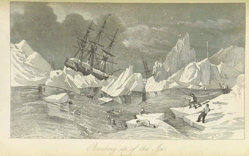An illustration from Recent Expeditions to the Polar Regions, including all the voyages undertaken in search of Sir J. F. [Compiled from various official documents, and private communications, by R. Huish.] No. 1-60, 1852, leaf 519