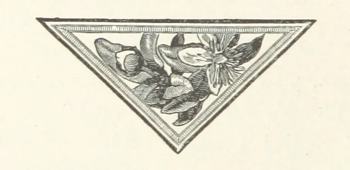 An illustration from The Light-ship Hand; or, the Strange Adventures of Richard Gayden, etc. [A tale, 1893, leaf 160