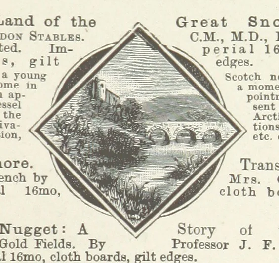 An illustration from The Light-ship Hand; or, the Strange Adventures of Richard Gayden, etc. [A tale, 1893, leaf 201