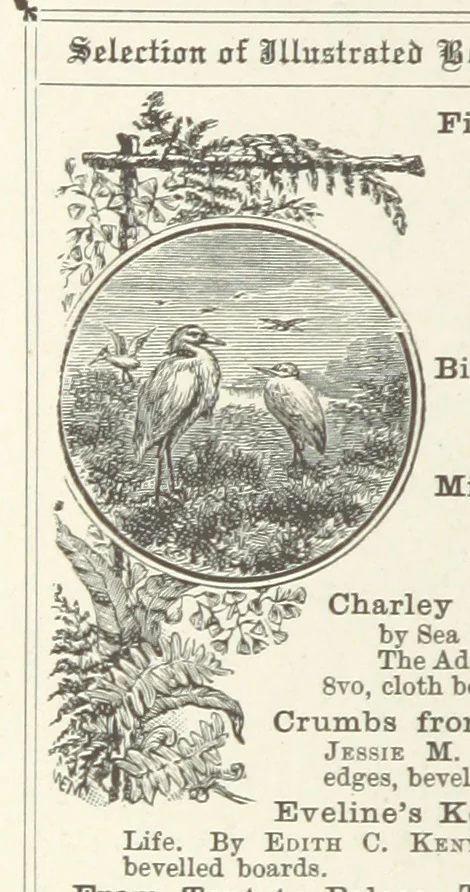 An illustration from The Light-ship Hand; or, the Strange Adventures of Richard Gayden, etc. [A tale, 1893, leaf 202